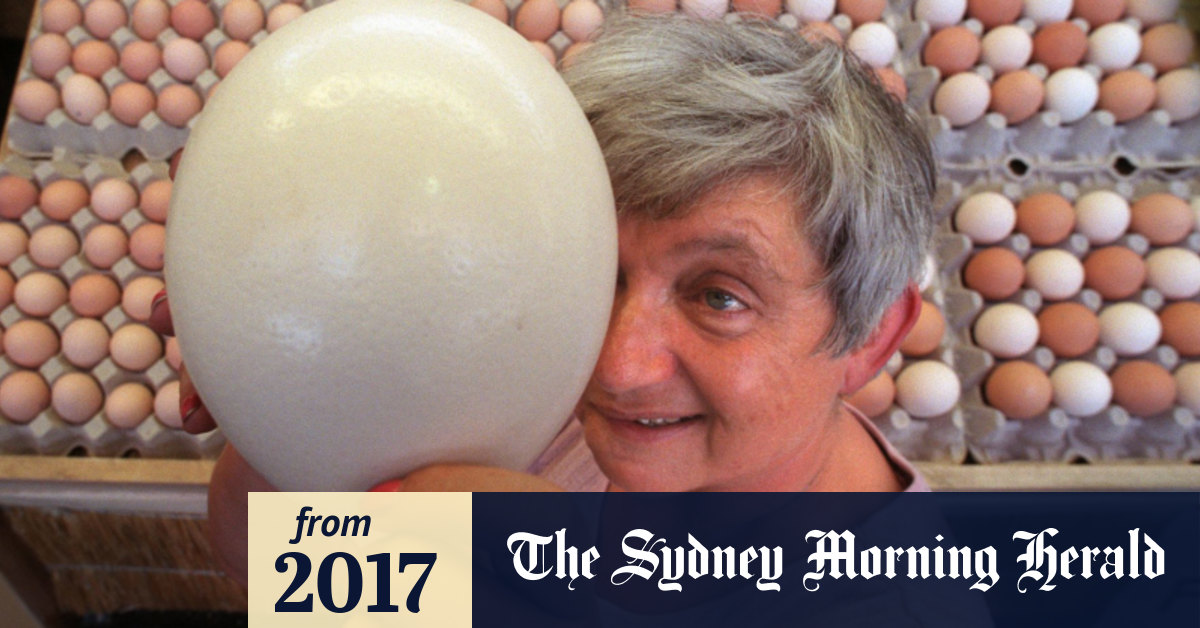 Scientists say they have worked out why eggs are shaped like eggs